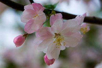 《EA FC 24》活跃用户达1450万 为EA带来强劲成绩